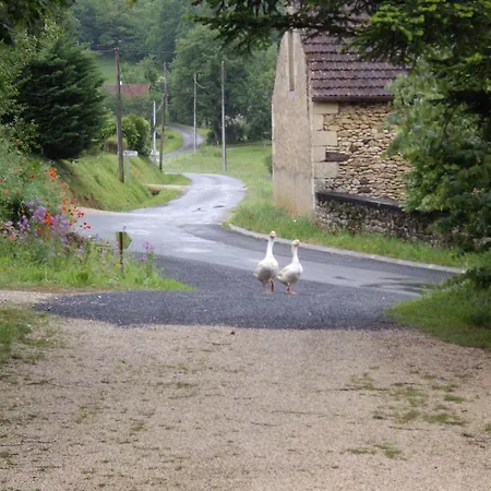 La P'tite Du Fournier Le Buisson-de-Cadouin